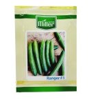 فروش بذر خیار رنجر miller در مشهد در گروه خرید و فروش بذر خیار در یکمیوه