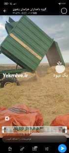 کاه کوبیده گندم دیمه در مشهد در گروه خوراک دام و طیور در یکمیوه