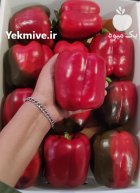 فلفل دلمه رنگی در یزد در گروه خرید و فروش فلفل در یکمیوه