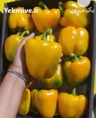 فروش فلفل دلمه رنگی در یزد در گروه خرید و فروش فلفل در یکمیوه