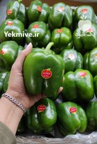 فروش فلفل دلمه سبز گلخانه ای در یزد در گروه خرید و فروش فلفل در یکمیوه