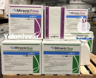 قارچ کش میراویس دو در گروه خرید و فروش انواع سم در یکمیوه -عکس1