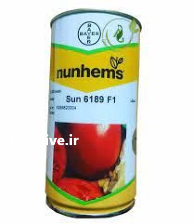 فروش بذر گوجه فرنگی 6189 در گروه خرید و فروش بذر گوجه در یکمیوه -عکس1