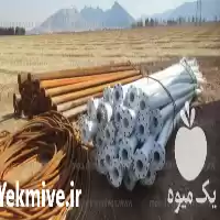 قیمت خرید لوله پلیمری داخل چاه در گروه خرید و فروش لوله کشاورزی در یکمیوه