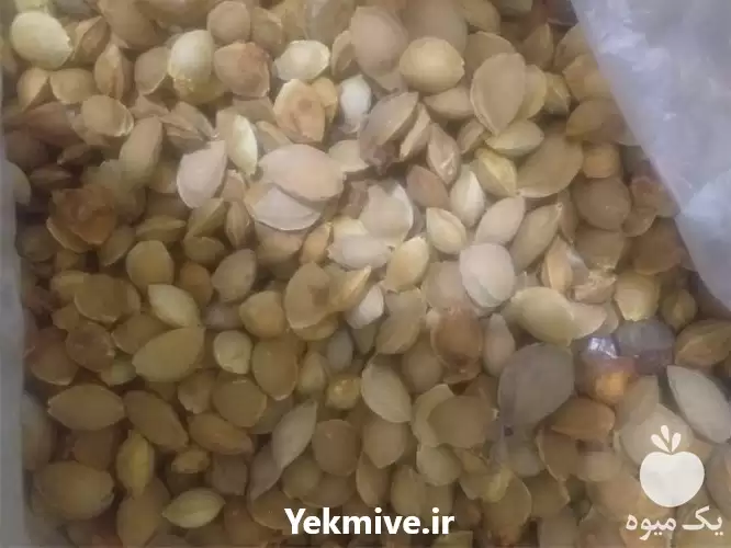 قیمت خرید هسته زرد آلو تلخ در اصفهان در گروه خرید و فروش زردآلو در یکمیوه -عکس1