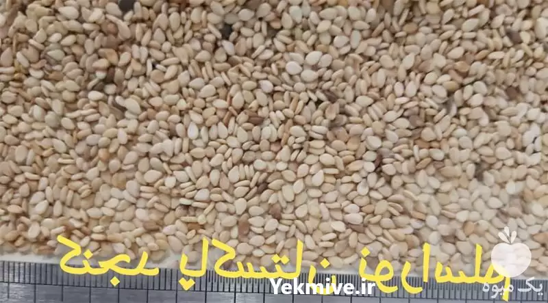 فروش کنجد خارجی در تهران در گروه خرید و فروش دانه های روغنی در یکمیوه -عکس1