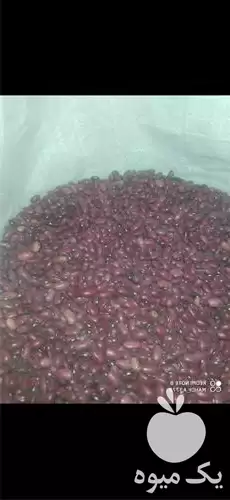 قیمت خرید لوبیا قرمز در گروه خرید و فروش غلات و حبوبات در یکمیوه -عکس1
