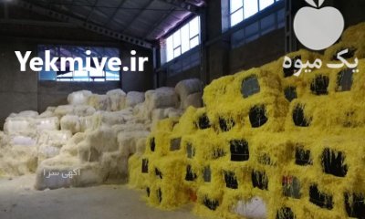 مرکز خرید فروش انواع پوشال میوه در تهران در گروه انواع بسته بندی محصول در یکمیوه -عکس4