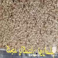 فروش کنجد خارجی در تهران در گروه خرید و فروش دانه های روغنی در یکمیوه