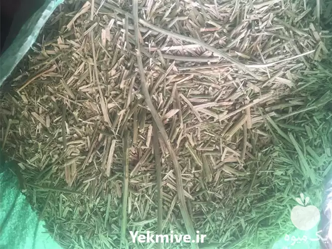 قیمت خرید گیاهان دارویی وحشی صد در تهران در گروه خرید و فروش گیاهان دارویی در یکمیوه -عکس1