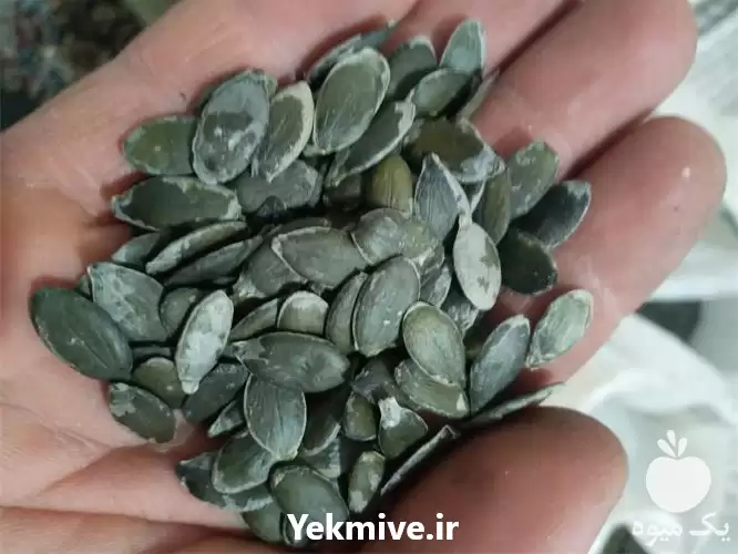 قیمت خرید تخمه کدو بدون پوست در زنجان در گروه خرید و فروش انواع تخمه در یکمیوه -عکس1