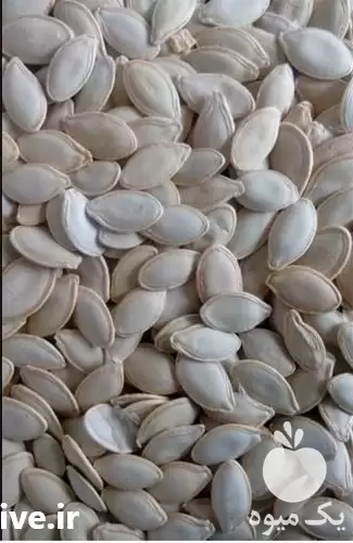 فروش پخش تخمه آفتابگردان در گروه خرید و فروش انواع تخمه در یکمیوه -عکس1