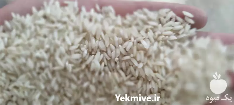 قیمت خرید انواع برنج های محلی در گروه خرید و فروش برنج در یکمیوه -عکس1