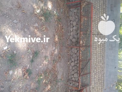 فروش پالت میوه دست دوم در بومهن در گروه خرید و فروش پالت در یکمیوه -عکس1