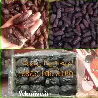 فروش عمده خرما ربی در تهران در گروه خرید و فروش خرما در یکمیوه