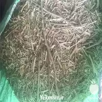 قیمت خرید گیاهان دارویی وحشی صد در تهران در گروه خرید و فروش گیاهان دارویی در یکمیوه