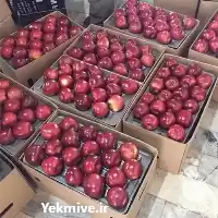 تامین کننده سیب درختی در ارومیه در گروه خرید و فروش سیب در یکمیوه