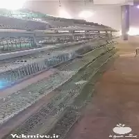 فروش قفس پرنده تک رو دو در مشهد در گروه تجهیزات مرغداری در یکمیوه