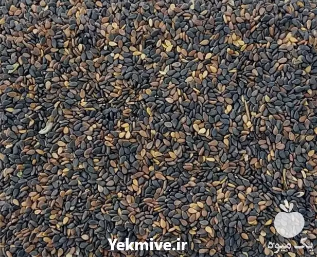 قیمت خرید قیمت عمده کنجد اصل در شیراز در گروه خرید و فروش دانه های روغنی در یکمیوه -عکس1