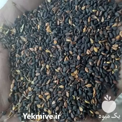 قیمت خرید قیمت کنجد مشکی شیرین در تبریز در گروه خرید و فروش دانه های روغنی در یکمیوه -عکس1