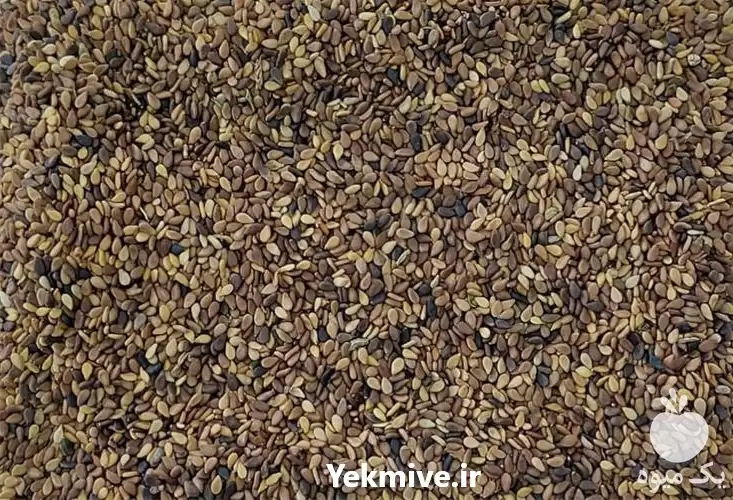 قیمت خرید قیمت کنجد روغنی در مشهد در گروه خرید و فروش دانه های روغنی در یکمیوه -عکس1