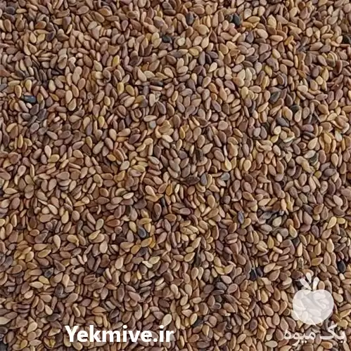 کنجد پوست کنده زیر قیمت در شیراز در گروه خرید و فروش دانه های روغنی در یکمیوه -عکس1