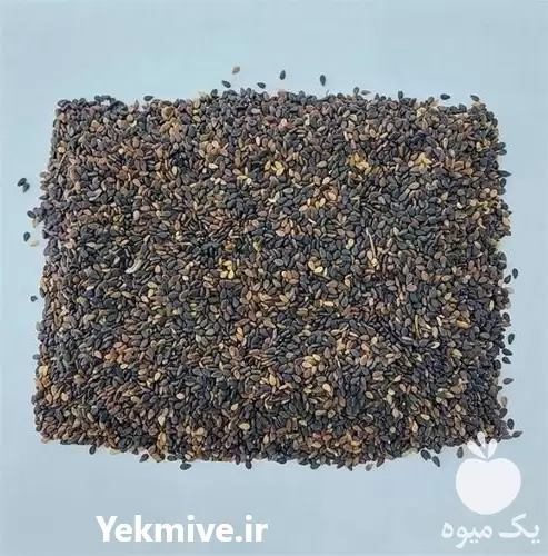 فروش عمده کنجد اعلاء میمنه افغانستان در تهران در گروه خرید و فروش دانه های روغنی در یکمیوه -عکس1