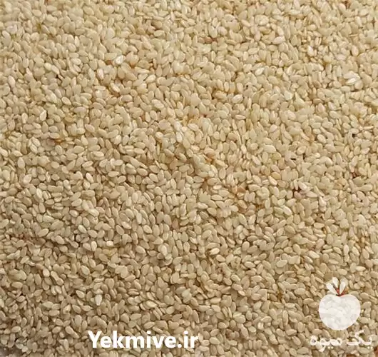 قیمت خرید عمده کنجد افغانستان در گروه خرید و فروش دانه های روغنی در یکمیوه -عکس1