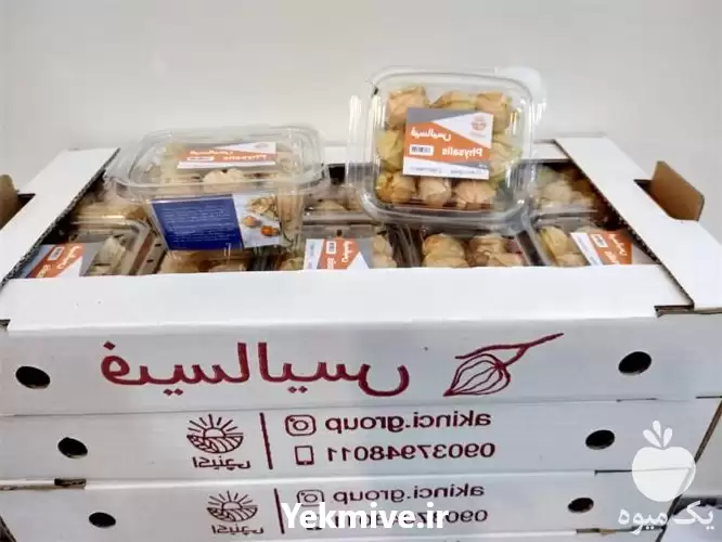 قیمت خرید فیسالیس گیلاس زمینی در تهران در گروه خرید و فروش میوه استوایی در یکمیوه -عکس1