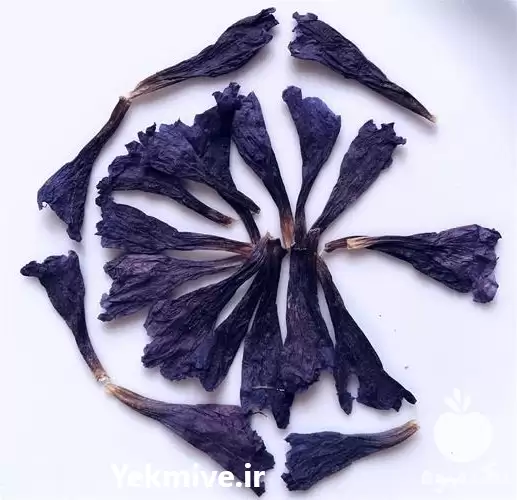 قیمت خرید گل گاوزبان ایرانی در رشت در گروه خرید و فروش گیاهان دارویی در یکمیوه -عکس1