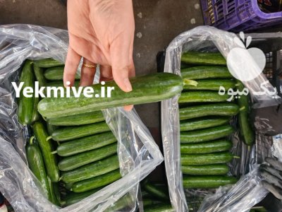 فروش خیار گلخانه ای یزد در گروه خرید و فروش خیار در یکمیوه -عکس1
