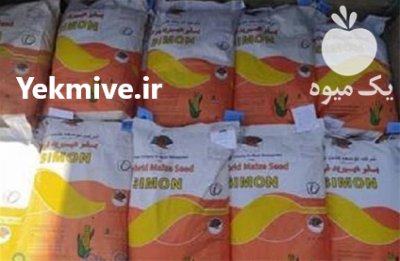 عرضه بذر ذرت علوفه امریکن ژنتیک در بروجرد در گروه خرید و فروش بذر ذرت در یکمیوه -عکس1