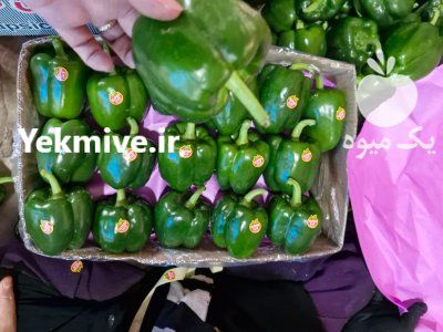 فلفل دلمه گلخانه ای سبز در یزد در گروه خرید و فروش فلفل در یکمیوه -عکس2
