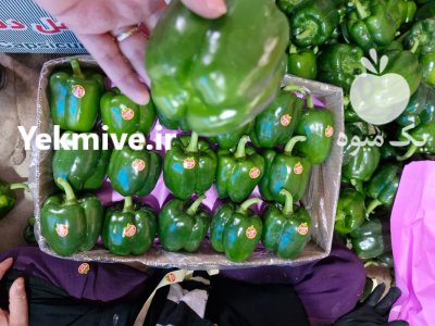 فلفل دلمه گلخانه ای سبز در یزد در گروه خرید و فروش فلفل در یکمیوه -عکس3