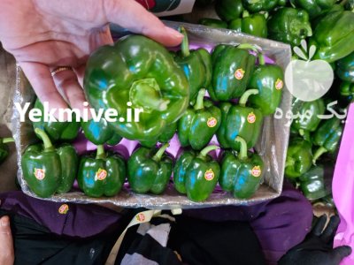 فلفل دلمه گلخانه ای سبز در یزد در گروه خرید و فروش فلفل در یکمیوه -عکس4