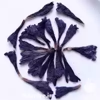 قیمت خرید گل گاوزبان ایرانی در رشت در گروه خرید و فروش گیاهان دارویی در یکمیوه