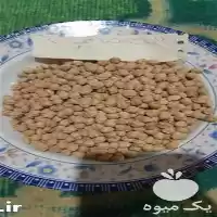 فروش نخود ممتاز مارک گوران در گروه خرید و فروش غلات و حبوبات در یکمیوه
