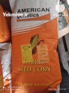 بذر ذرت علوفه ای امریکن ژنتیک در خرم آباد در گروه خرید و فروش بذر ذرت در یکمیوه