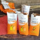 فروش بذر امریکن ژنتیکس با کیفیت در گروه خرید و فروش بذر ذرت در یکمیوه