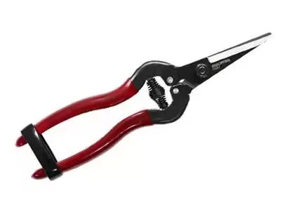 فروش قیچی میوه چین در گروه خرید و فروش لوازم باغبانی در یکمیوه -عکس1