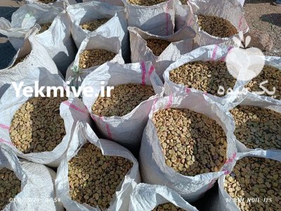 باقلا درجه یک در بیستون در گروه خرید و فروش غلات و حبوبات در یکمیوه -عکس2