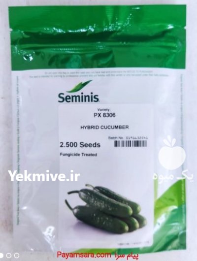 توزیع بذر پخش فروش بذر خیار در گروه خرید و فروش بذر خیار در یکمیوه -عکس1