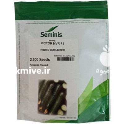 بذر خیار ویکتور بهترین انتخاب در گروه خرید و فروش بذر خیار در یکمیوه -عکس2