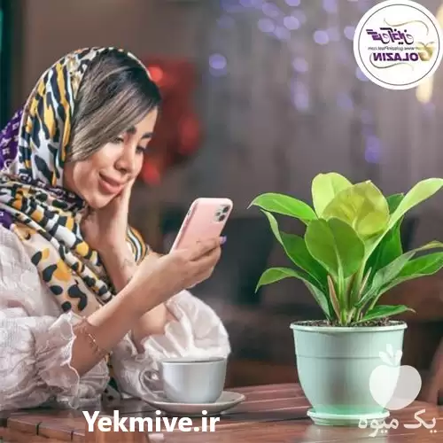 گلدان پلیمری گل آذین در گروه خرید و فروش گلدان در یکمیوه -عکس1