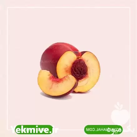 فروش خرید نهال شلیل سان گلد در گروه خرید و فروش نهال میوه در یکمیوه -عکس1