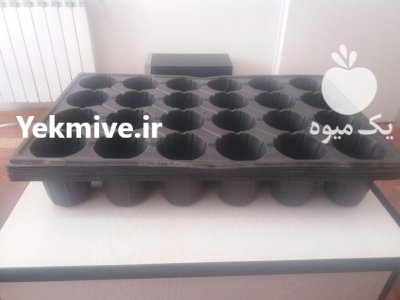 فروش سینی کشت نشا در حفره در گروه خرید و فروش نشا در یکمیوه -عکس2