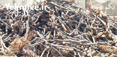 خرید چوب و فروش زغال کبابی در بروجن در گروه خرید و فروش زغال در یکمیوه -عکس2