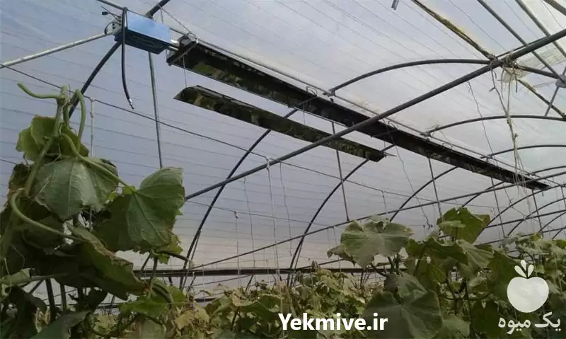 قیمت خرید قیمت گرماتاب گازی گلخانه در زنجان در گروه خرید و فروش بخاری و هیتر گلخانه در یکمیوه -عکس1