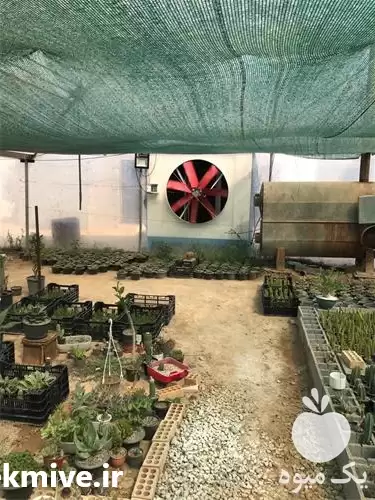 فروش کولر صنعتی در تهران در گروه خرید و فروش تجهیزات گلخانه در یکمیوه -عکس1