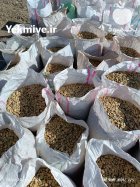 باقلا درجه یک در بیستون